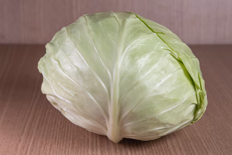 Cabbage